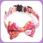 Collar-265